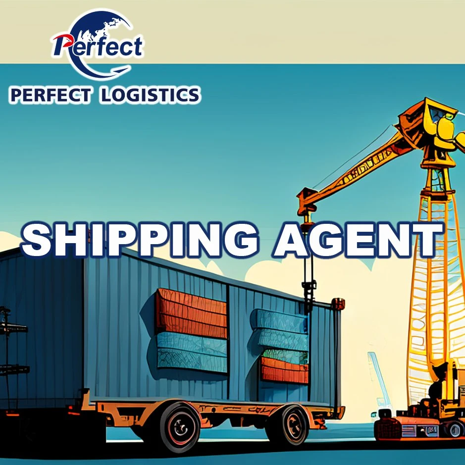 China Forwarder Ksd Provides Freight Forwarder Sea Shipping for Container Shipment