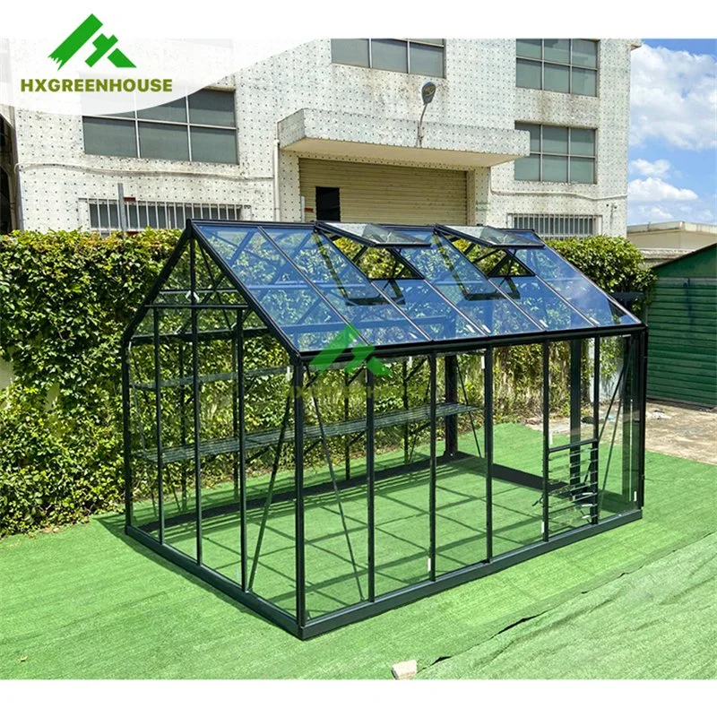 Serre en verre mini jardin en aluminium avec cadre en métal pour l'extérieur, utilisée à vendre