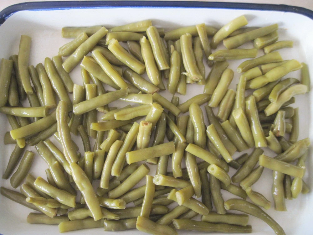 Canned Food Canned Green Bean with Best Price OEM