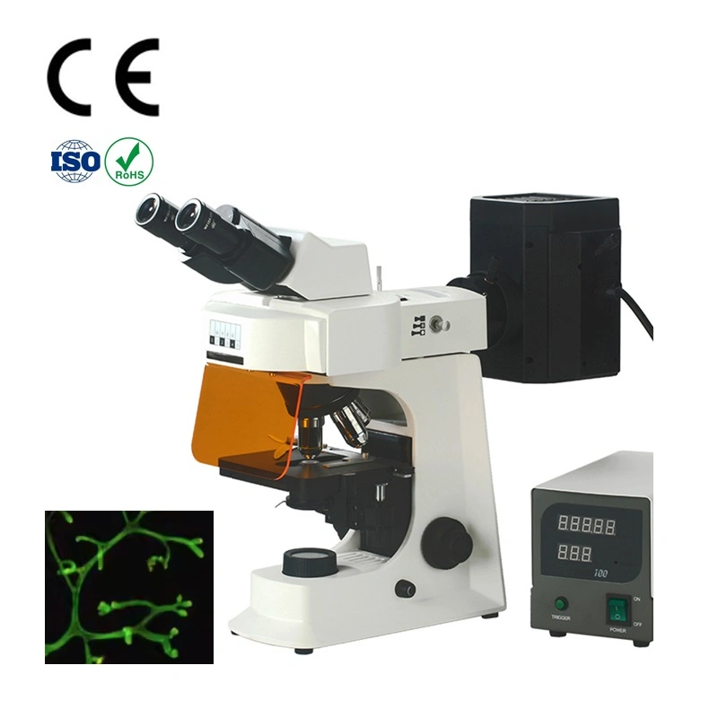 Smart-FL2 Binocular Biologic Digital Electronical Fluorescence Microscope for Lab