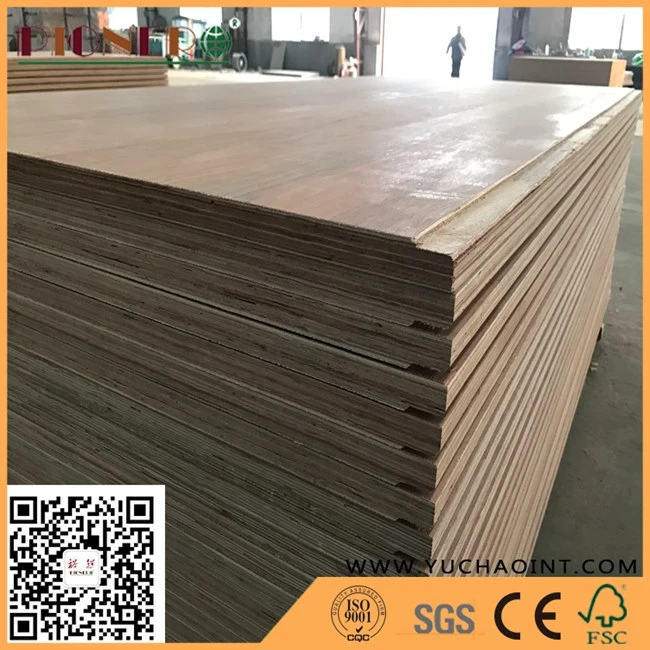 Keruing Face/Back Container Flooring Plywood with Phenolic Glue