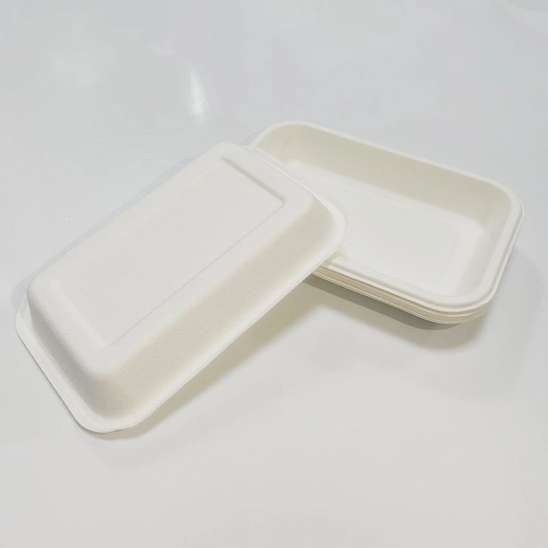 Plateau alimentaire biodégradable compostable canne à sucre Bagasse papier porte-pâtes jetables Porte-repas vaisselle