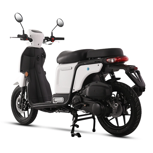 Single and Double Seat Large and Small Carrier Can Be Selected Electric Scooter Digital Speedometer Motorcycle