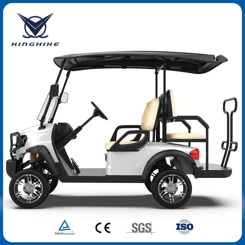 CE Approved Buggy/Golf Kinghike Packed and Loaded by Container Beach Cart Golf Carts for Sale