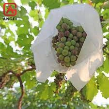 Sunscreen Nonwoven Fabric Grape Bag Fruit Protection Bag