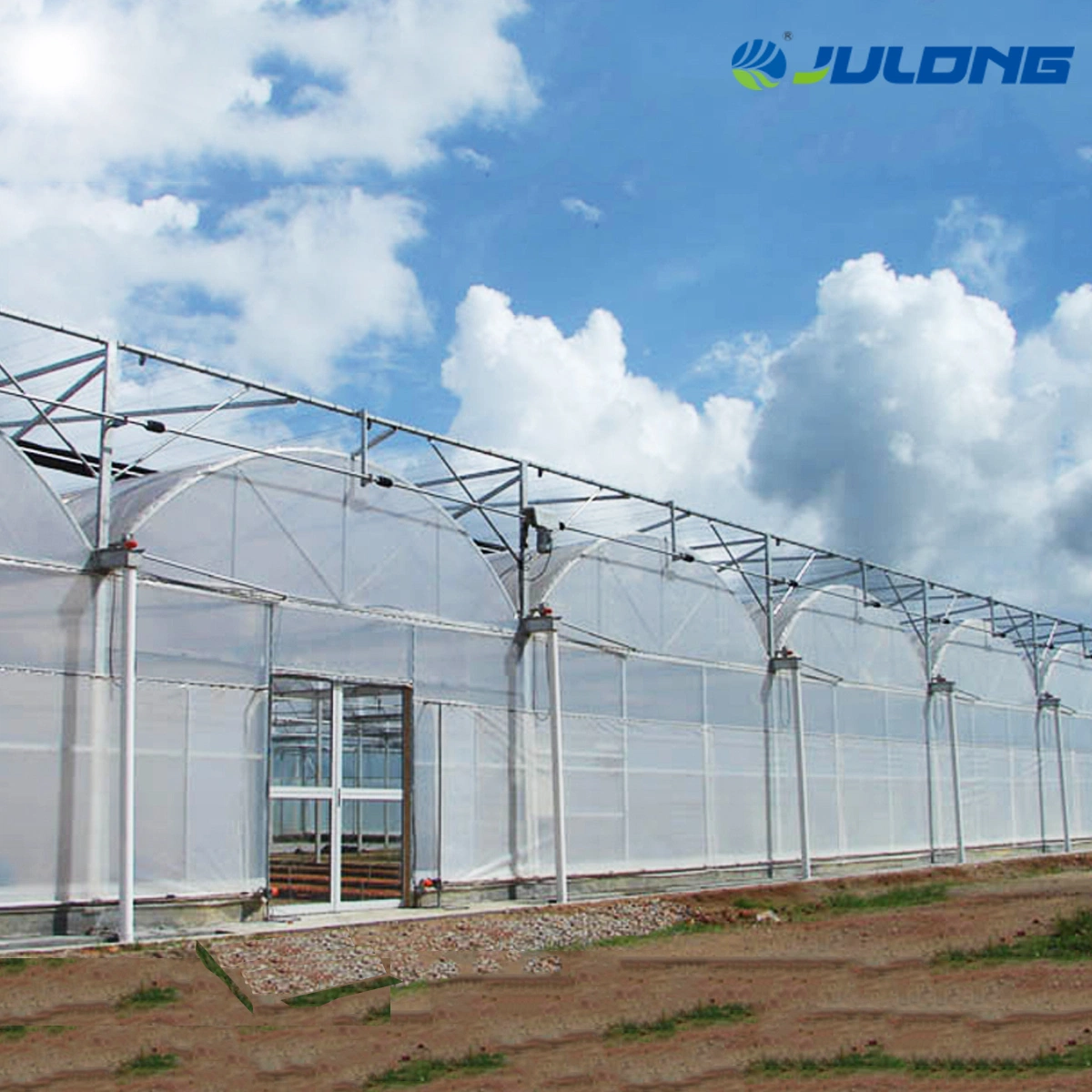 Hot Sale and Popualr Multi-Span Plastic Film Greenhouse with Hydroponic Growing System