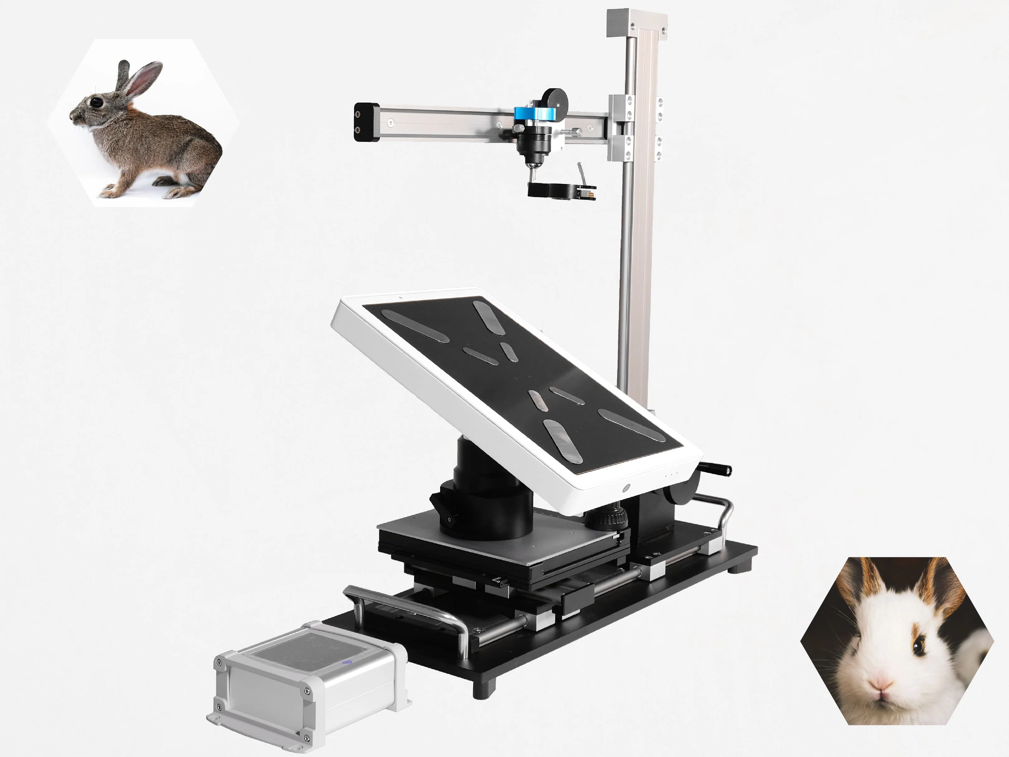 Ultrasound Scanner for Lab Animals - Portable and Easy to Use