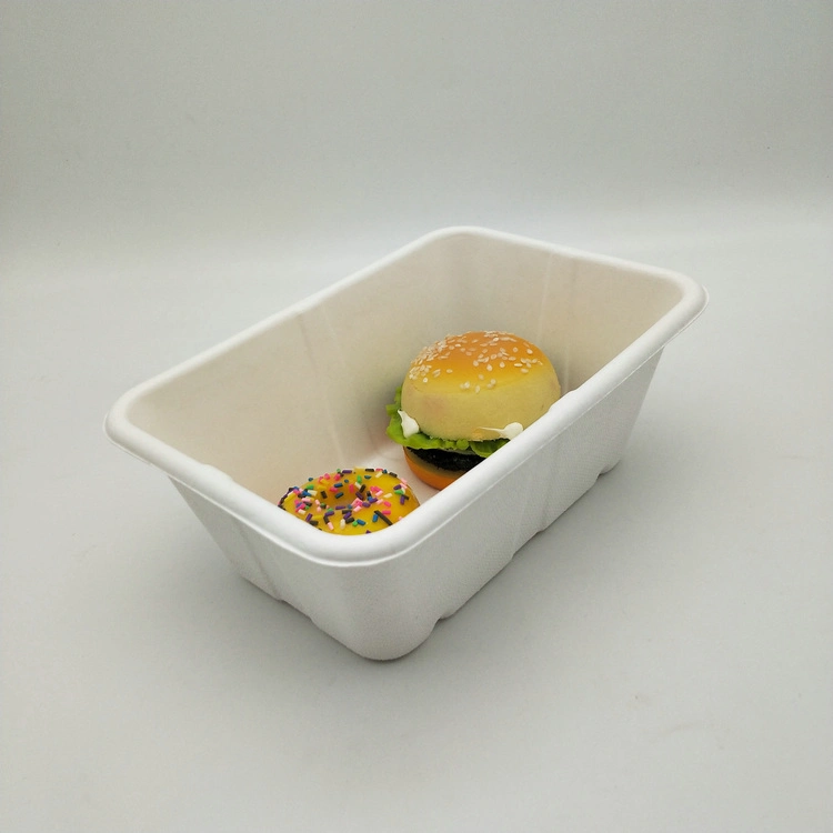 Disposable Degradable Biodegradable Food Packaging Tableware Lunch Box Sugarcane Bagasse Food with Lid 500ml 650ml Paper Tray