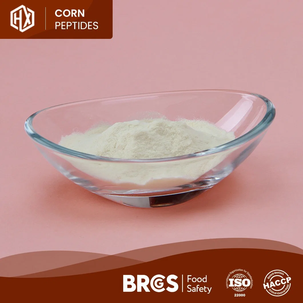 Haoxiang Food Grade 100% Hydrolyzed Corn Peptide Wholesale/Supplier Customized Private Label Cornbean Collagen Peptide Powder for Keeping Moisture and Anti-Aging