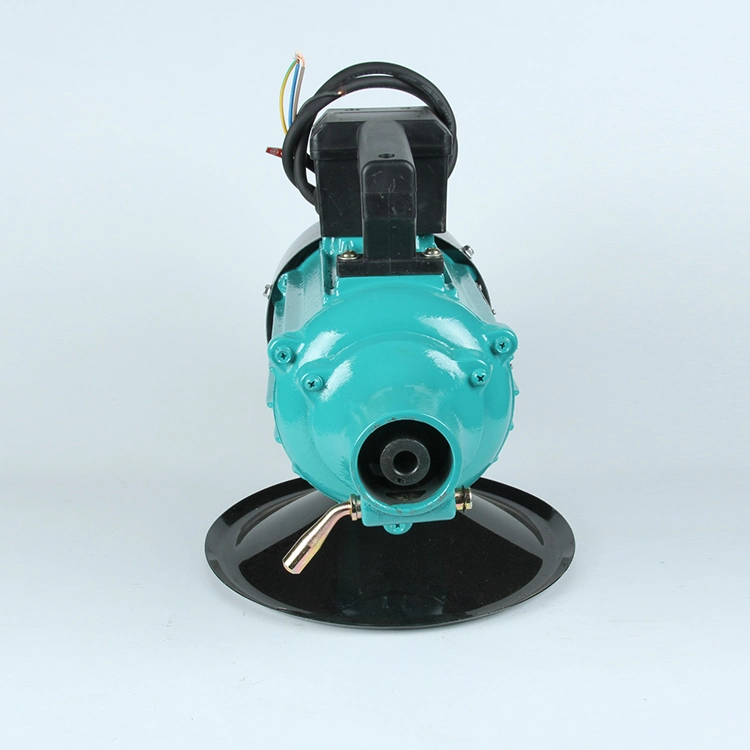 Zn Series Cast Iron Surface Electric Motor Clinging Concrete Vibrator Concrete Vibrating Machines