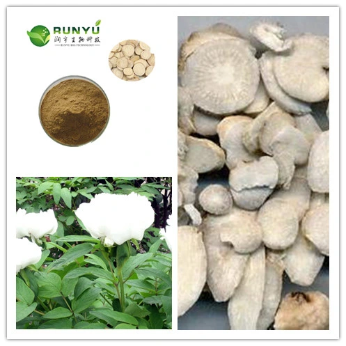 ISO Certification Paeoniflorin 98% White Peony Root P. E Paeoniflorin 10%