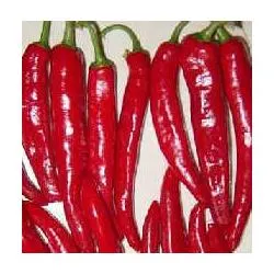 High quality/High cost performance Synthetic Capsaicin Powder on Sell