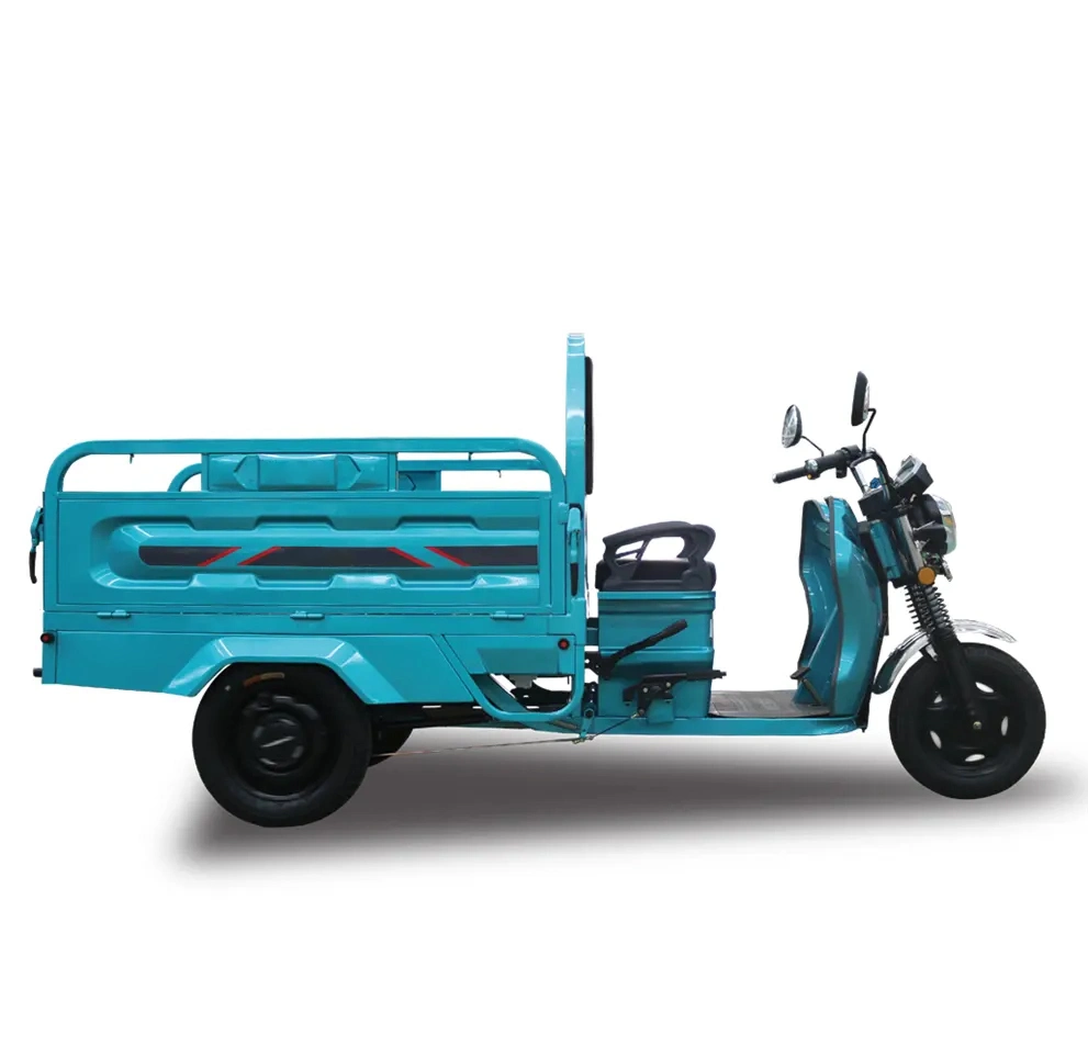 Electric Tricycle Best Safety and Popular 48/60V 1000W Three Wheeled Tricycle Cargo