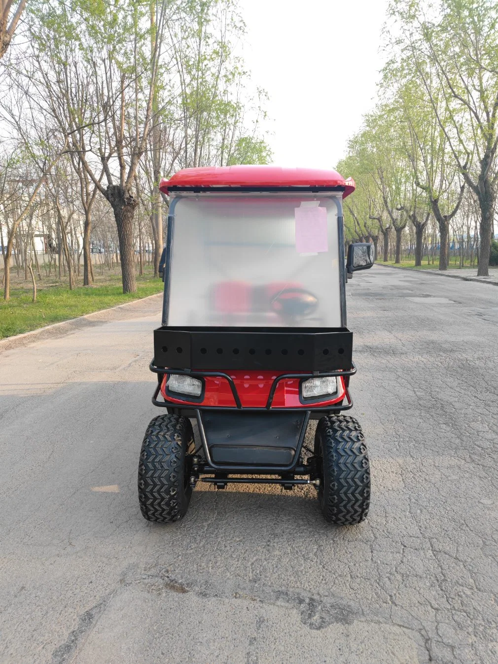 2 Seats Fast Speed off-Road Electric Golf Cart