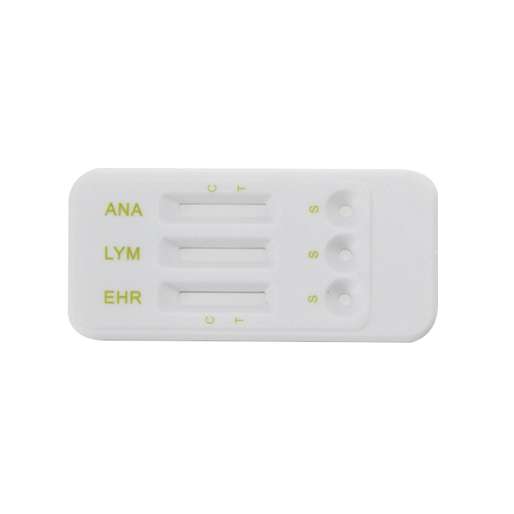 Ana Lyme Ehr Anaplasma Lyme Ehrlichia Antibody Combo Rapid Diagnostic Test