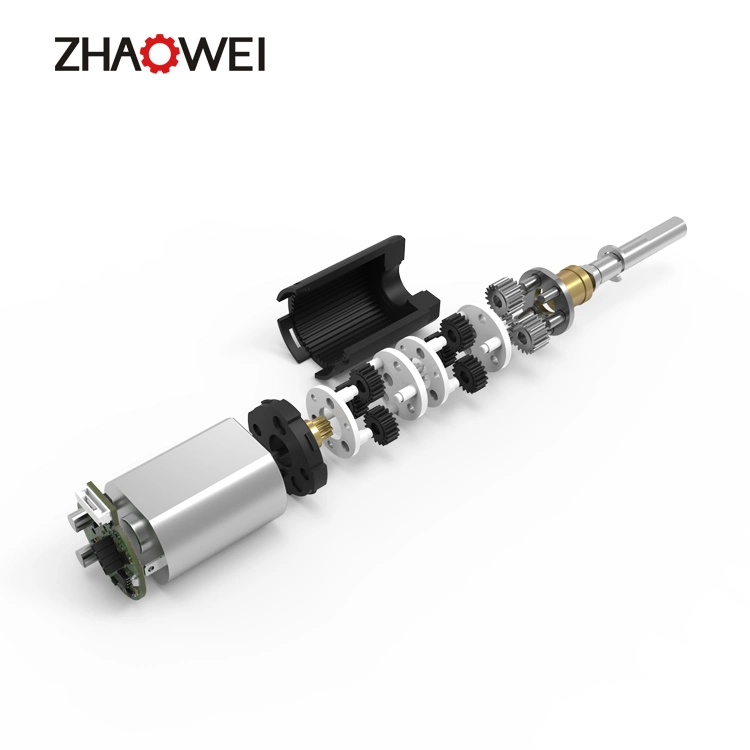 Zhaowei High Torque Low Rpm 12mm DC Gear Motor 12V 24V Electric Motor with Worm Gearbox for Smart Lock