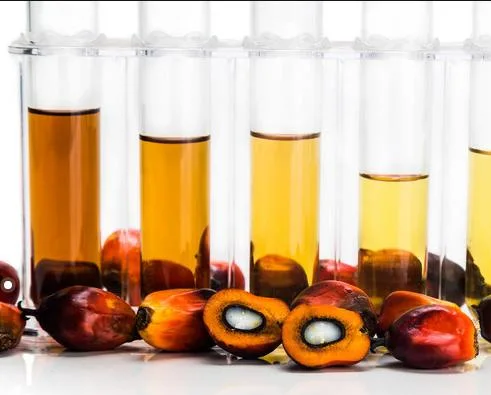 Óleo de palma em óleo essencial 100% puro para alimentação e. Animais