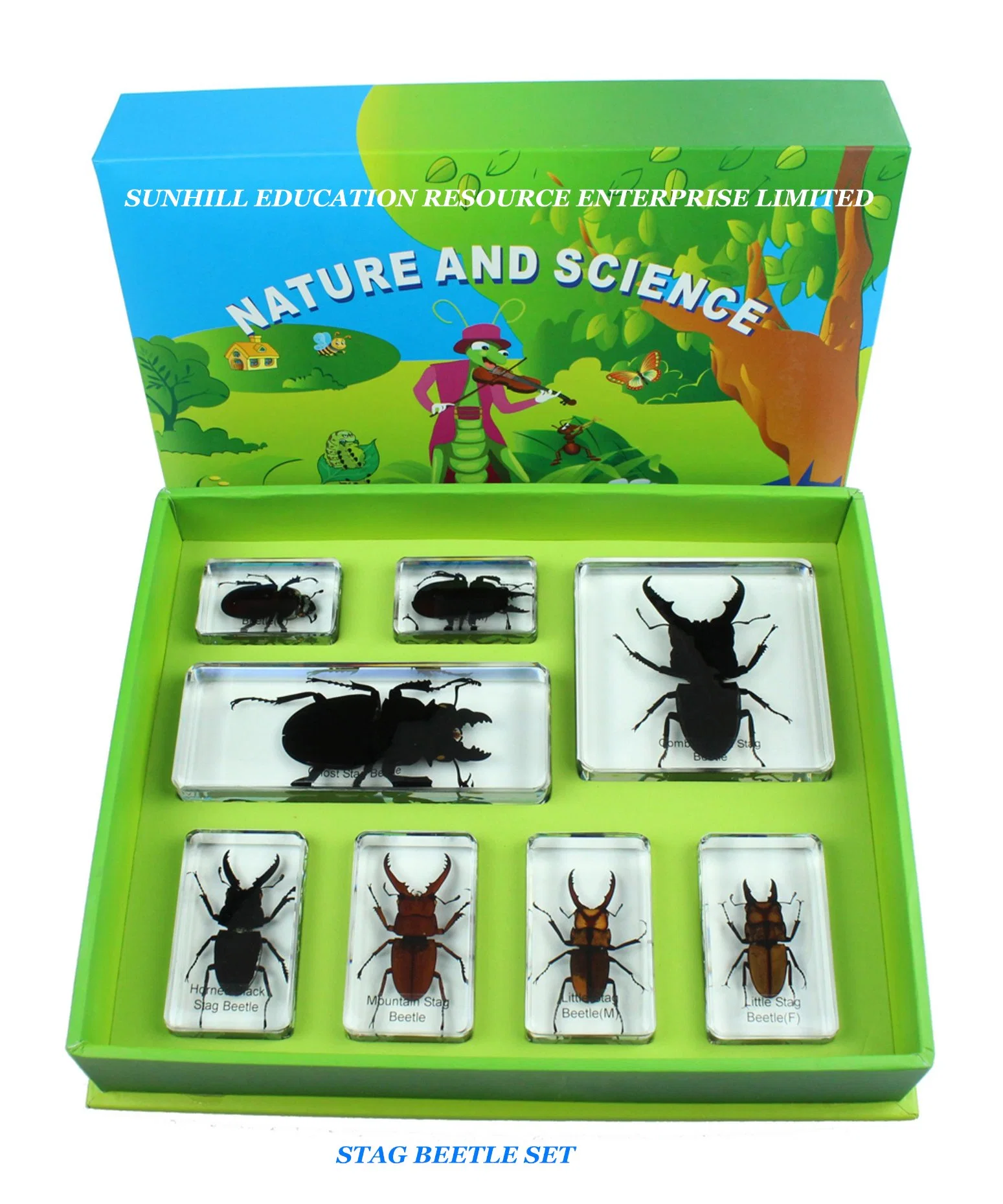 Children Toy, Nursery School Educationa Science Learning Toy, Kids Classroom Educationteaching Specimen for Kindergarten and Preschool-Chafer Bettle Set