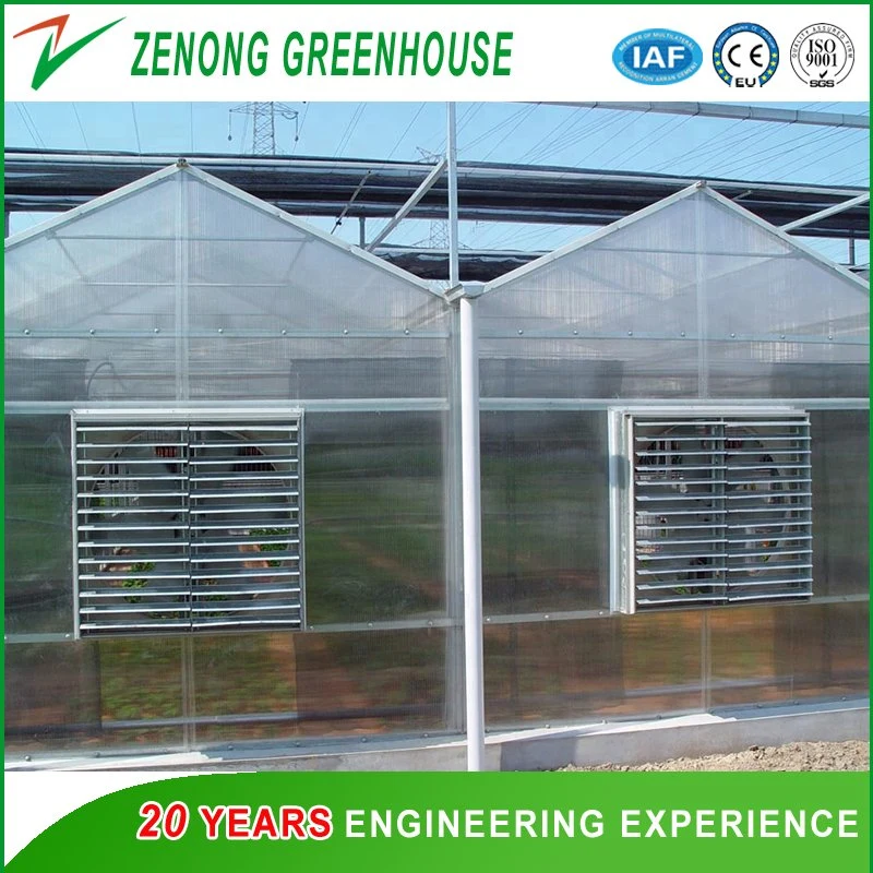 Customized High Quality Gutter Connected Polycarbonate Green House for Sale