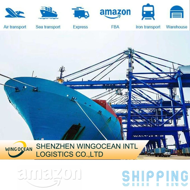 2023 Schnelle Logistik Versand Transport Service Sea DDP Versand ab China in die USA/Kanada/Europa