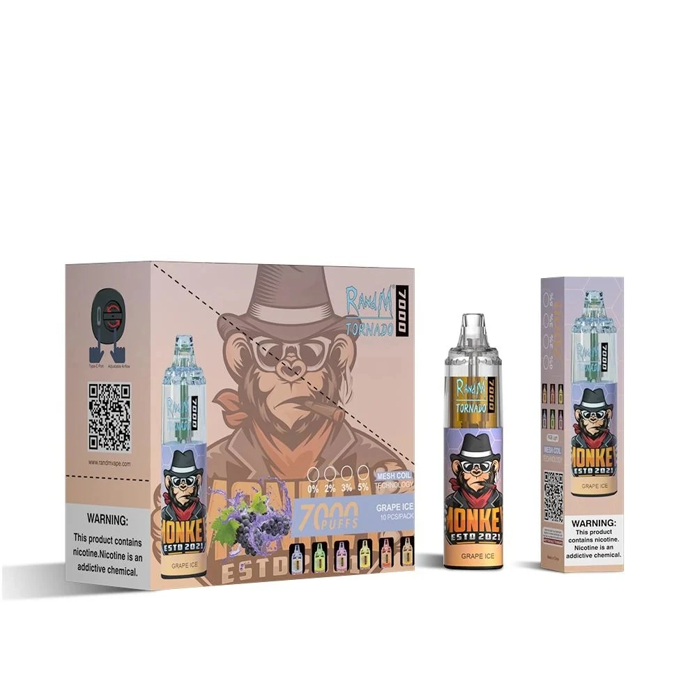 Vente en gros stylo Vape jetable Randm Tornado 7000 bouffées