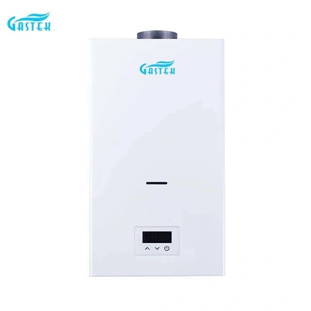 New Constant Temperature 10L 12L 16L 18L Hot Sale Home Appliance Flue Type Wall Mounted Tankless Instant LPG Natural Hot Water Gas Water Heater for Shower