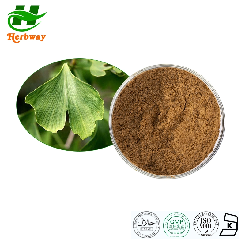 Herbway Kosher Halal Fssc HACCP Certified Ginkgo Leaf Extract for Brain Booster Flavones