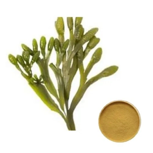 Fucoidan 85% Pure Natural Seaweed Extract Fucoidan Powder CAS. No. 9072-19-9
