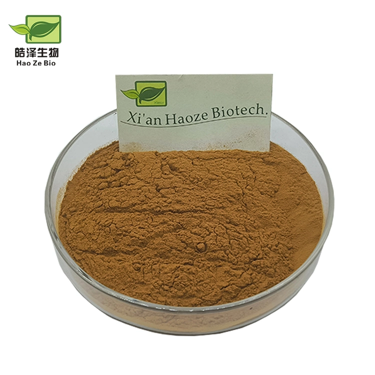 Supply Horsetail Herb Powder Natural Horsetail Grass Extract Powder Horsetail Extract