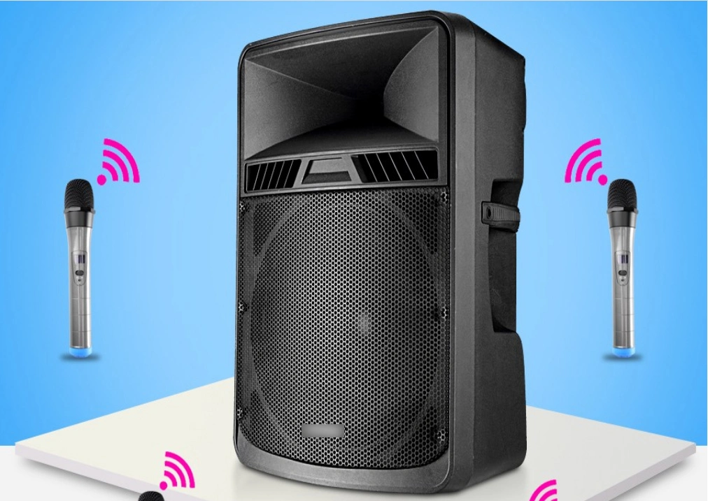 Tws 5 Band EQ Active Black Color 18inch Loudspeaker