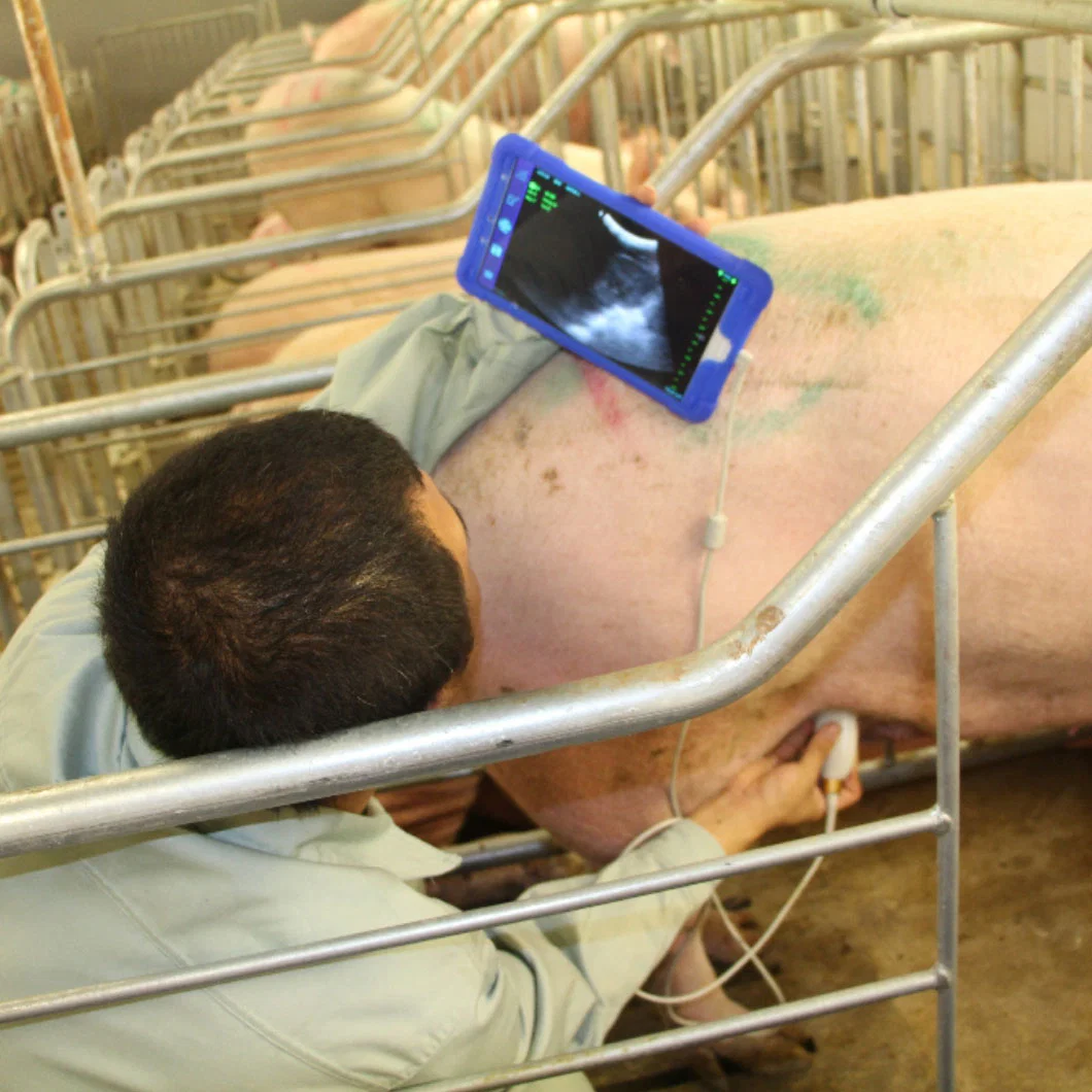 Mx5 B/W ultrasonido portátil para el ganado Ecógrafo veterinario