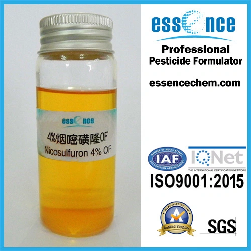 Herbicide Nicosulfuron 40g/L SC, 75%WDG/WG