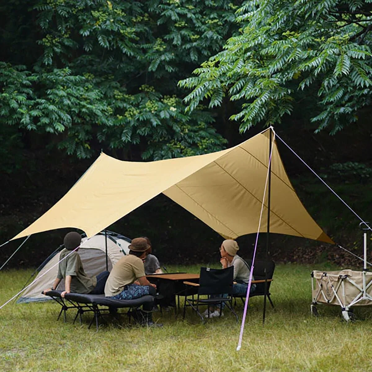 Campamento Albergue Canopy, Equipo de supervivencia Equipo Camping Accesorios de tienda