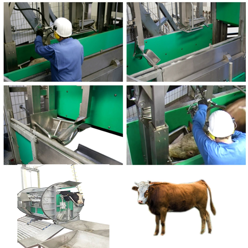 Mobile Livestock Abattoir Container Size Cattle Slaughterhouse Cow Slaughter Machine