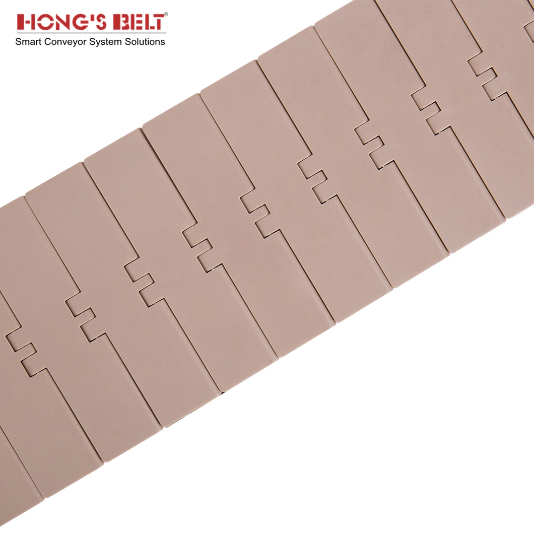 Hongsbelt 820-K600 Side Flexing Chain Chain Conveyor Plastic Table Top Chain