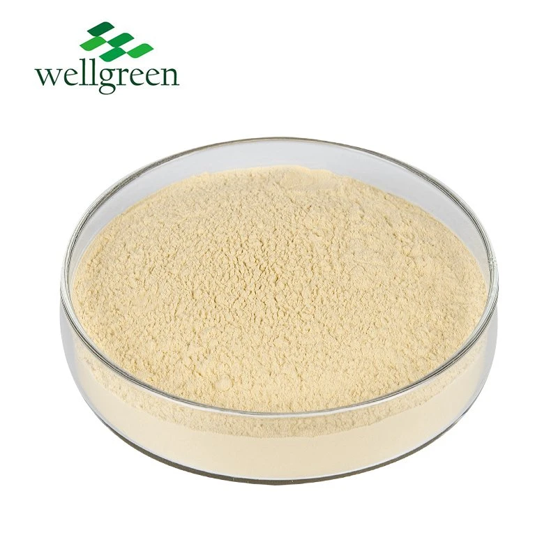 CAS 83207-58-3 HPLC Astragalus Membranaceus Extracto 10% Astragaloside IV