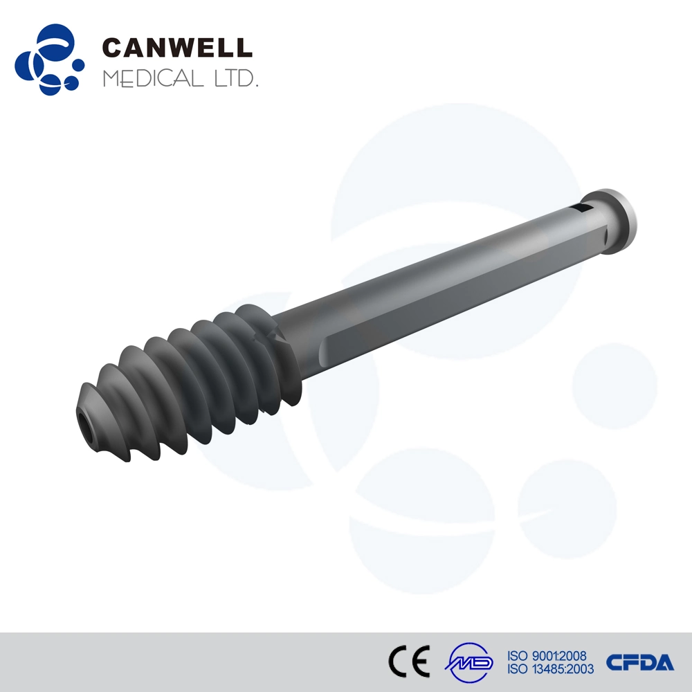 Compression Screw for Dynamic Hip and Condylar Candhs Orthopedic Titanium Implants