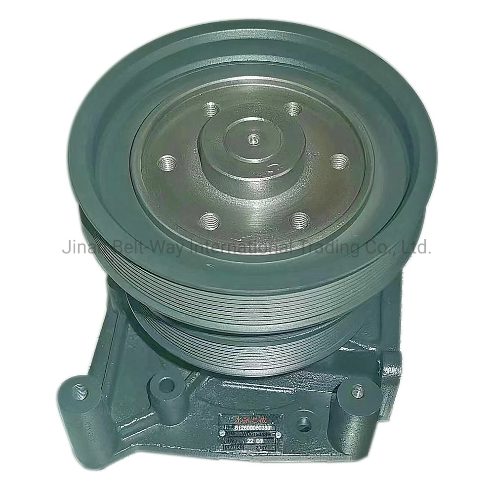 Sinotruk HOWO Truck Weichai Engine Spare Parts Water Pump 612600060389