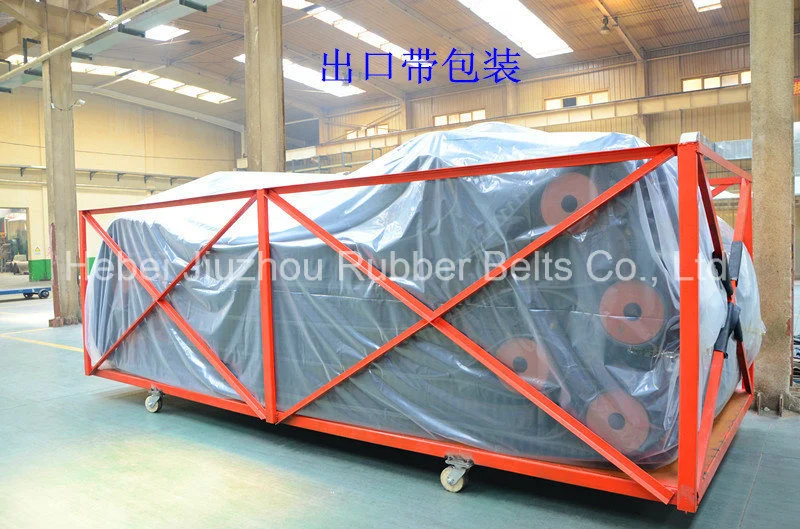 Xe-Sc-800/4+1 Open Leng Sidewall Corrugated Conveyor Belt