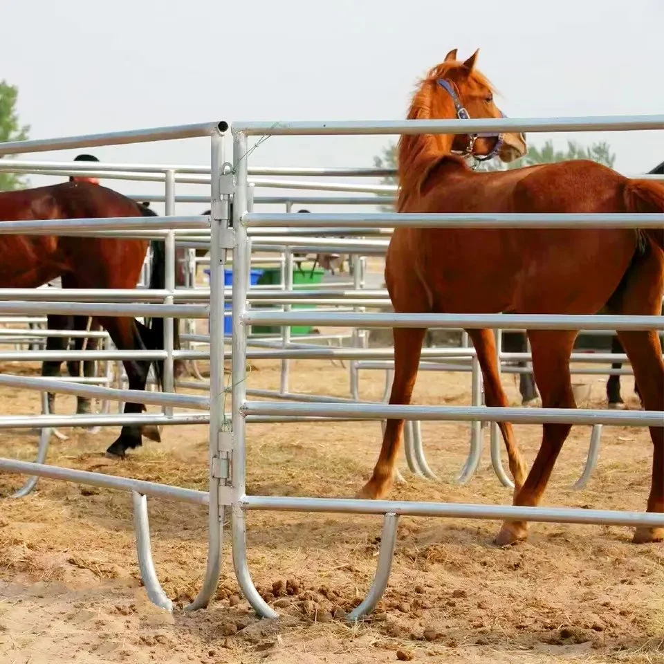 Hot DIP Galvanized Portable Cattle/ Horse Yard Corral Fence Panel for Farm