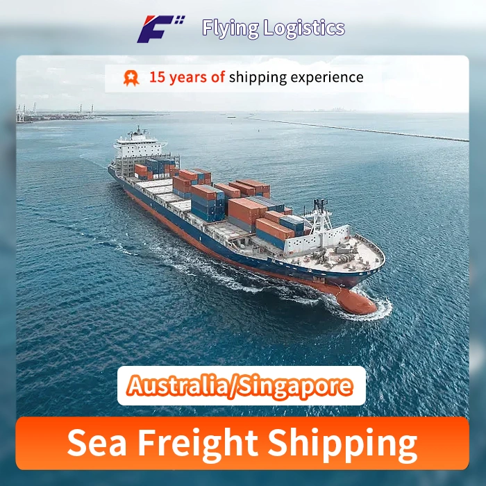 Logistics Forwarder Sea Shipping Agent From China to Australia/Singapore