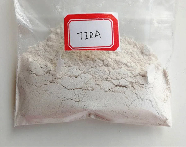 Hot Sale Plant Growth Regulator Tiba 98%Tc