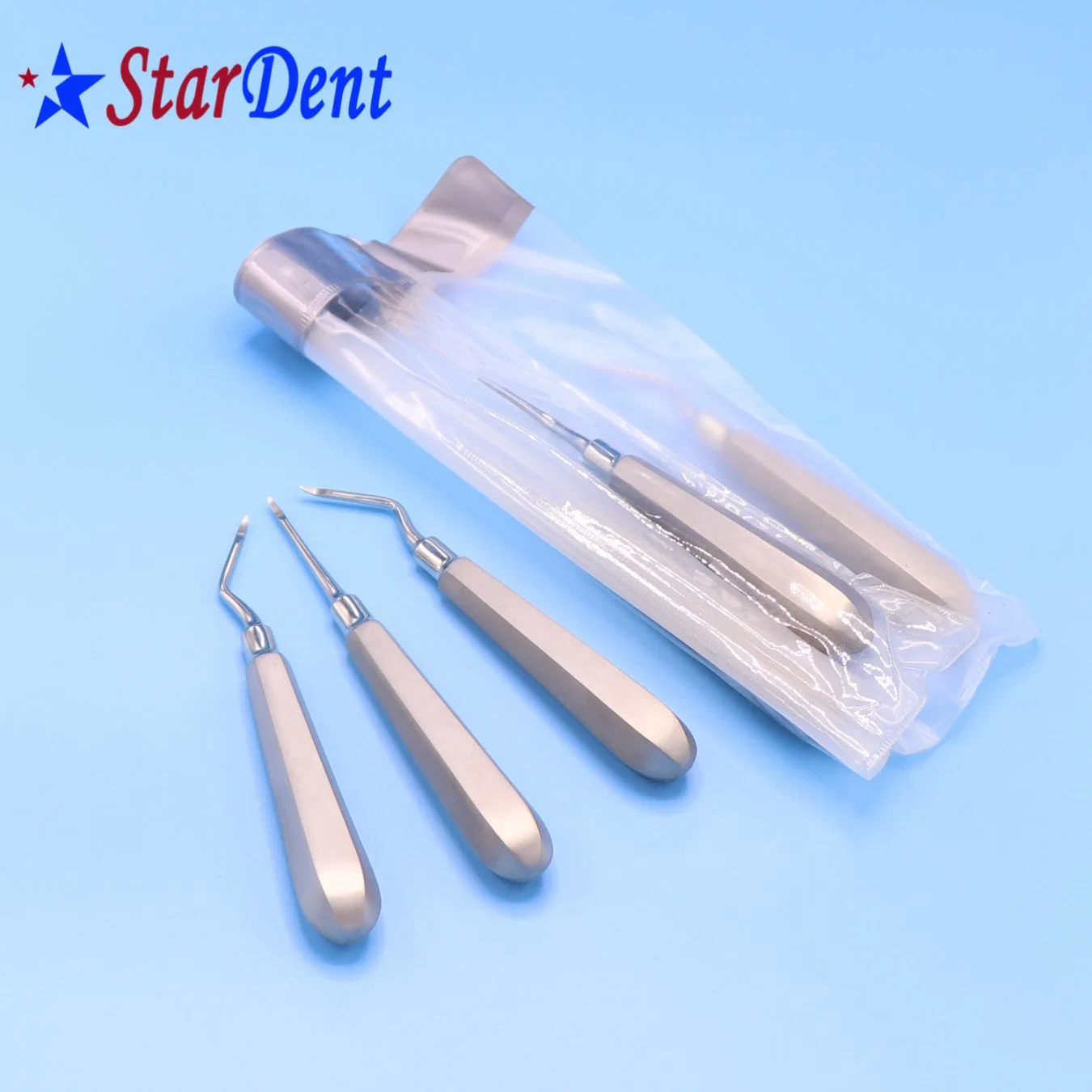 Hot Sale Dental Elevator Set/Dental Equipment/Dental Supplies