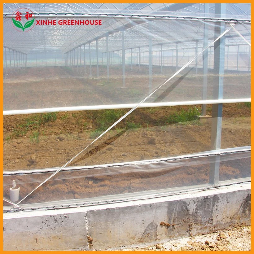 Taille personnalisée 275g Serre en acier galvanisé avec couverture en film plastique et système d'irrigation agricole pour la plantation/légumes/fruits/tomates/concombres/laitues/poivrons.