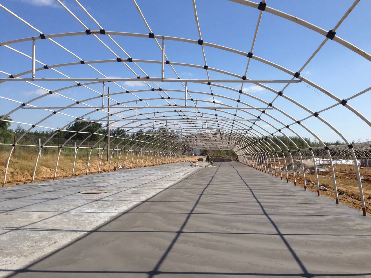 Vegetable Used Mart Agricultural Plastic-Film Greenhouse for Sale