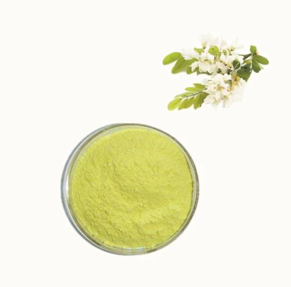 High quality/High cost performance Sophora Japonica Flower Bud Quercetin Extract