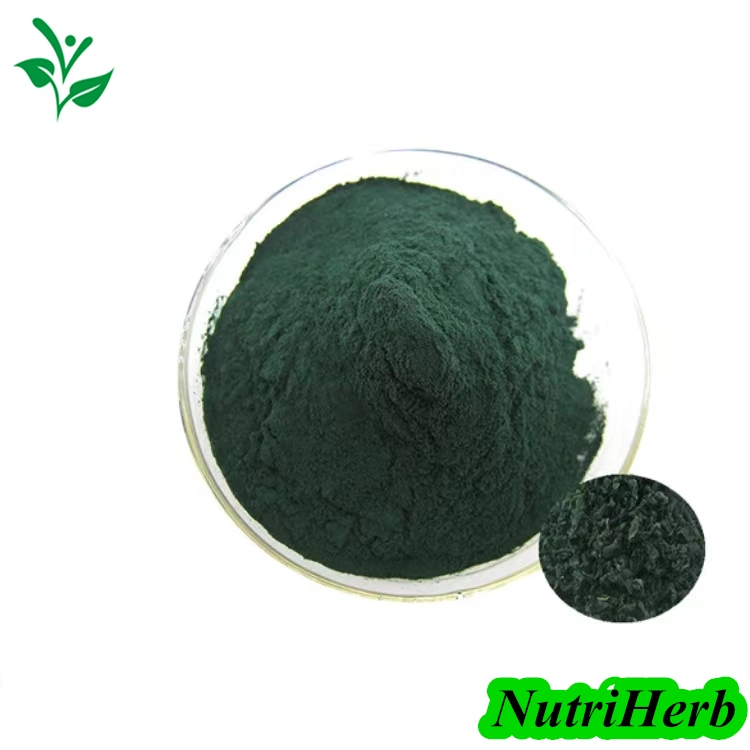 GMP Factory Supply Natural Food Grade 200mg 250mg Spirulina Tablets