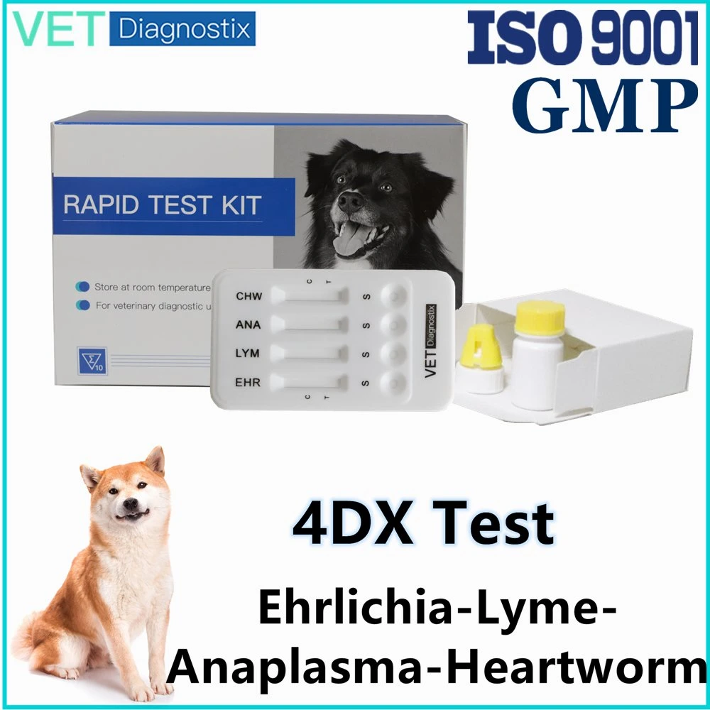 4dx Kit de Prueba Canina para Ehrlichia, Lyme, Anaplasma y Detección de la Dirofilariasis