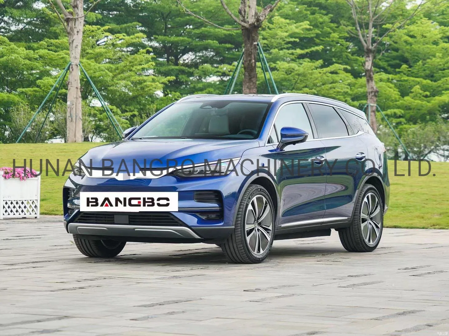 Tang serie EV 600km coches usados fabricados en China Micro Coche Micro coche