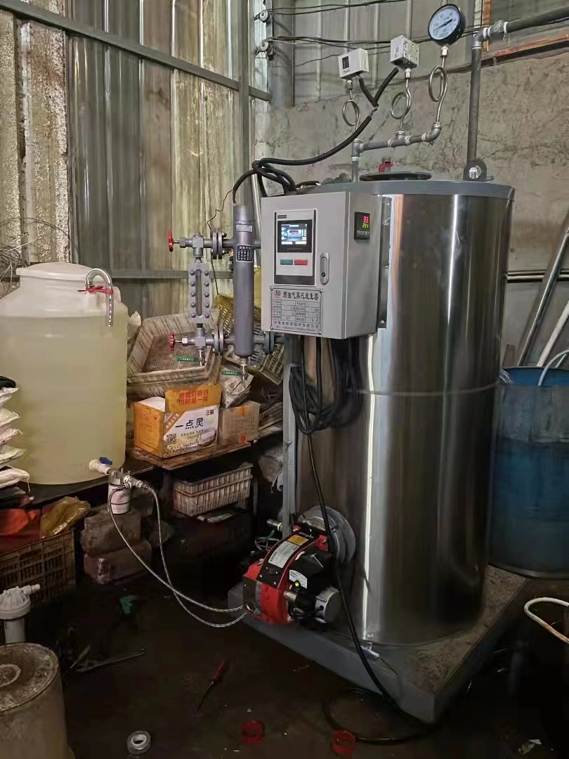 Usine chinoise fournissant une faible consommation d'énergie Lss Industrie Plant Gaz alimenté Huile/Gaz Générateur de vapeur Chaudière à vapeur pour SPA.